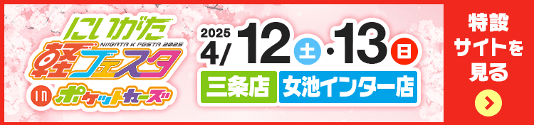 軽フェスタ特設サイトを見る