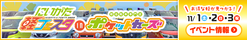 11月店舗型軽フェスタ11/1・2・3