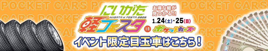 軽フェスタ1月24日~1月25日