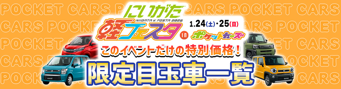 軽フェスタ1月24日~1月25日
