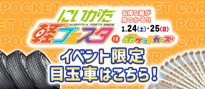 軽フェスタ1月24日~1月25日