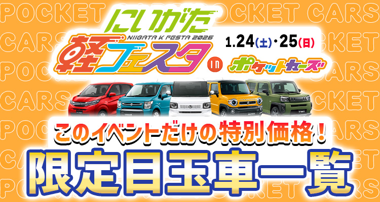 軽フェスタ1月24日~1月25日