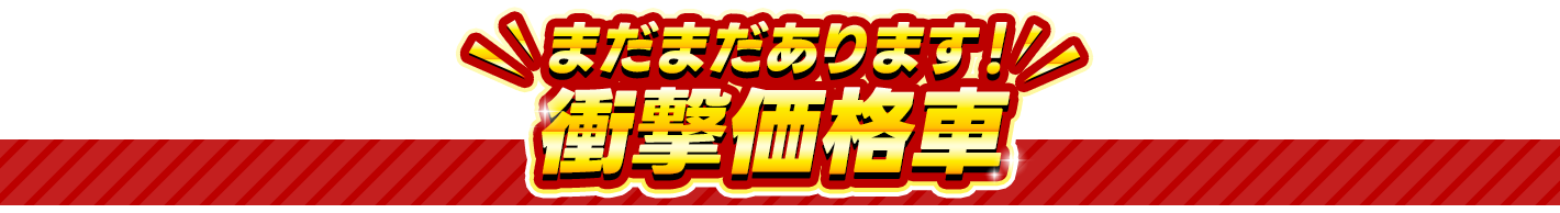まだまだあります！衝撃価格車