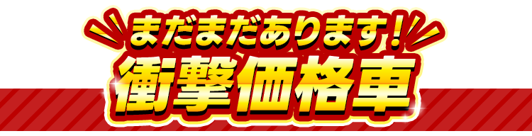 まだまだあります！衝撃価格車