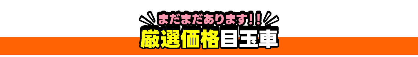 まだまだあります！衝撃価格車