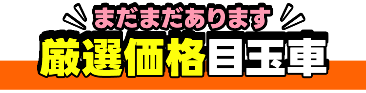 まだまだあります！衝撃価格車