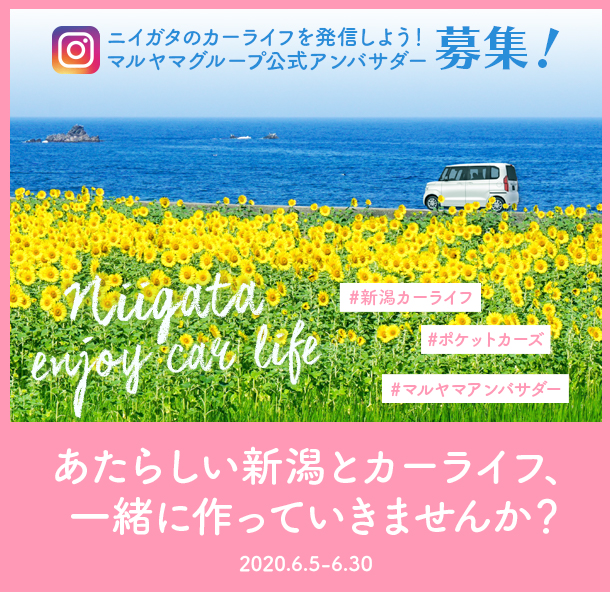マルヤマ公式アンバサダー募集 素敵な特典が貰えちゃう ポケットカーズにまつわることを集めたページです