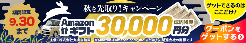秋を先取り！キャンペーン！アマゾンギフト30,000円分プレゼント！