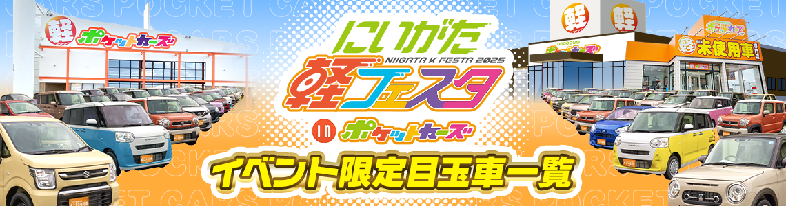 軽フェスタinポケットカーズ