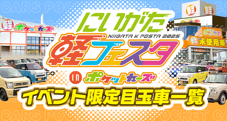 軽フェスタinポケットカーズ