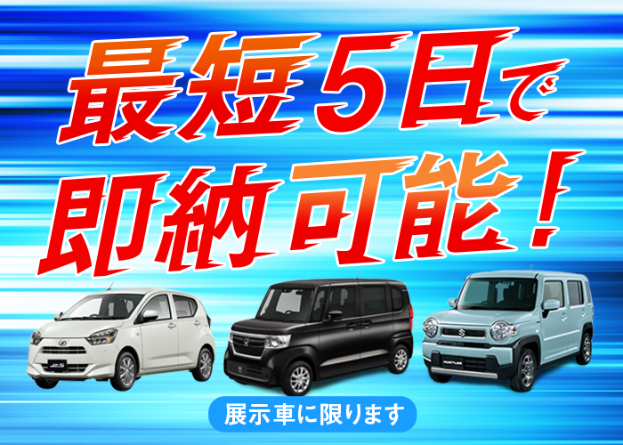 ポケットカーズ 公式 新潟市と三条市で軽未使用車 新古車 中古車の専門店