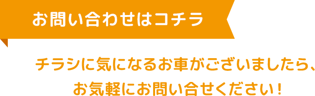 Webチラシ 軽未使用車専門店ポケットカーズ新潟市 三条市